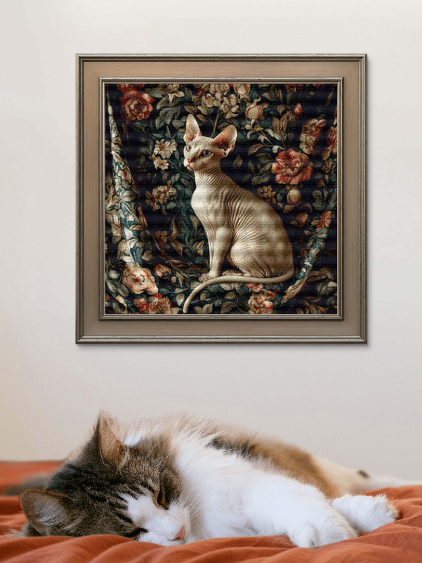 Sphinx cat