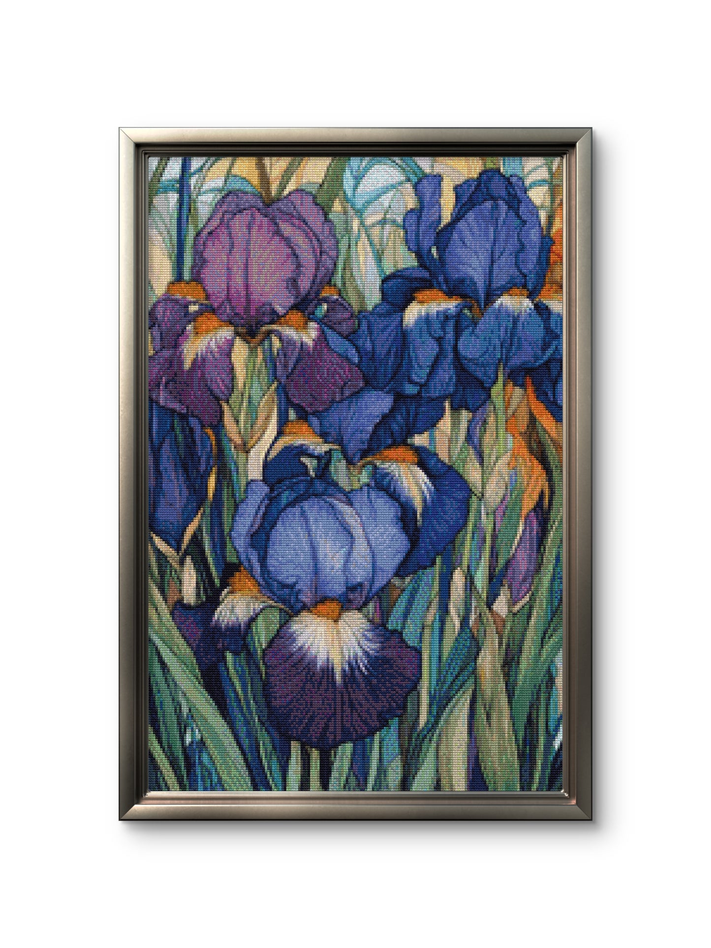 Irises Flowers