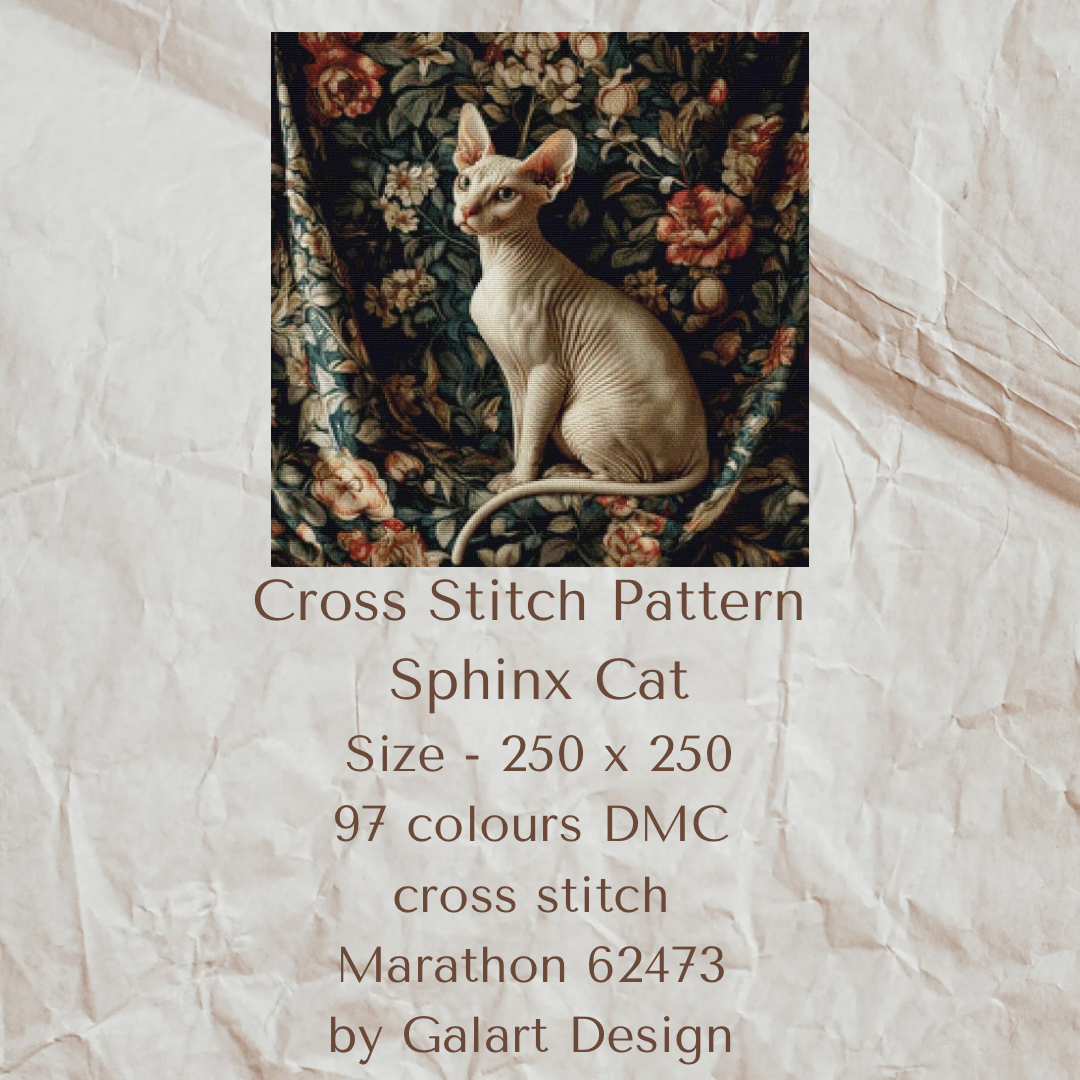 Sphinx cat