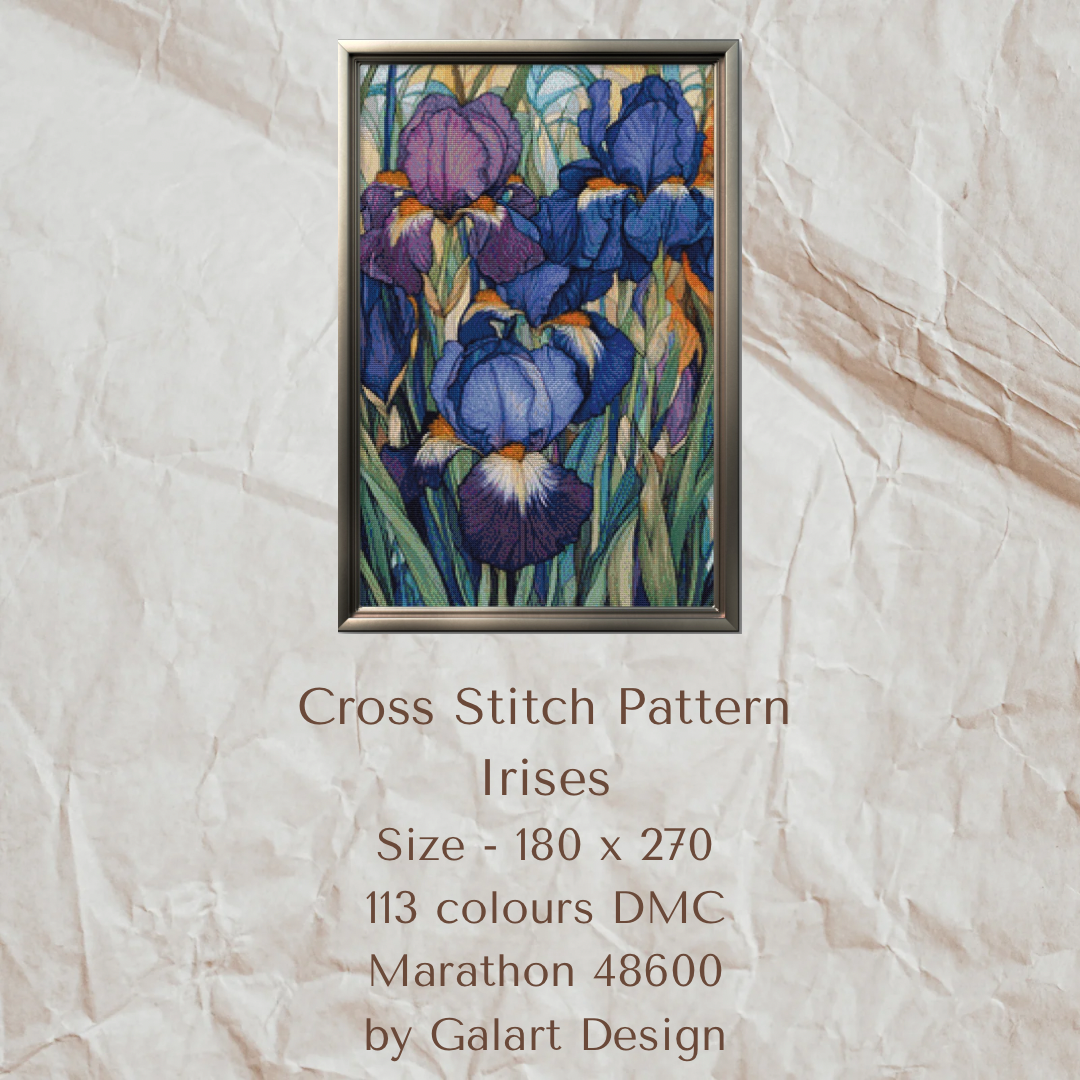 Irises Flowers