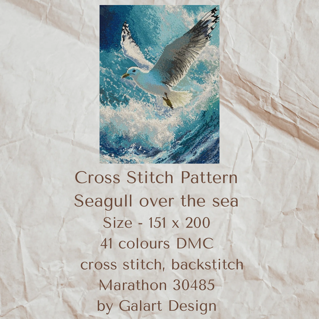 Seagull