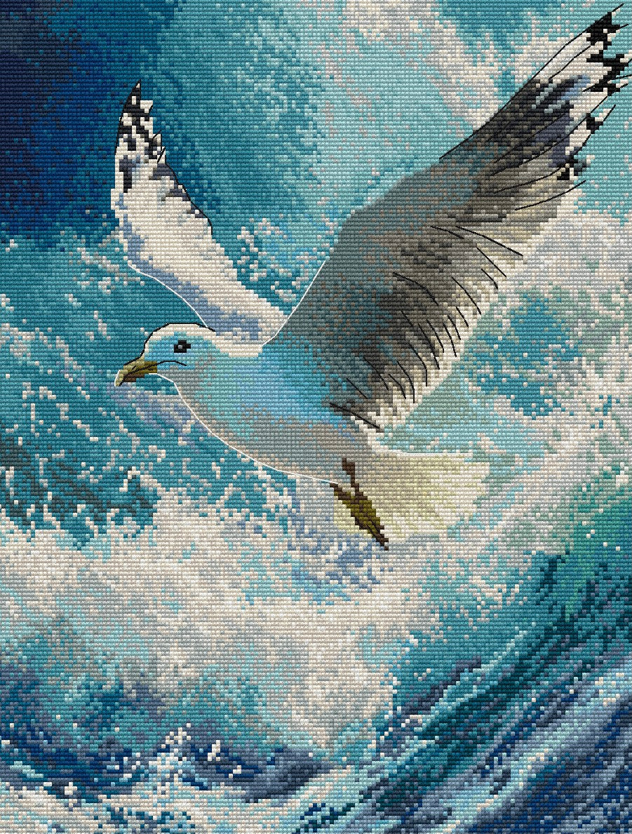 Seagull