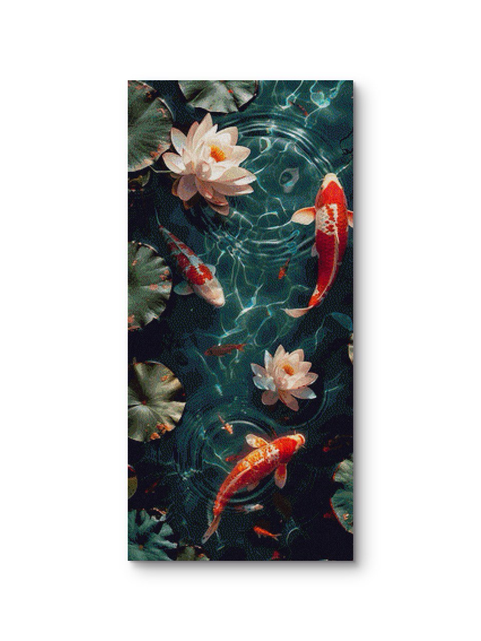 Koi fish and Lotus flowers