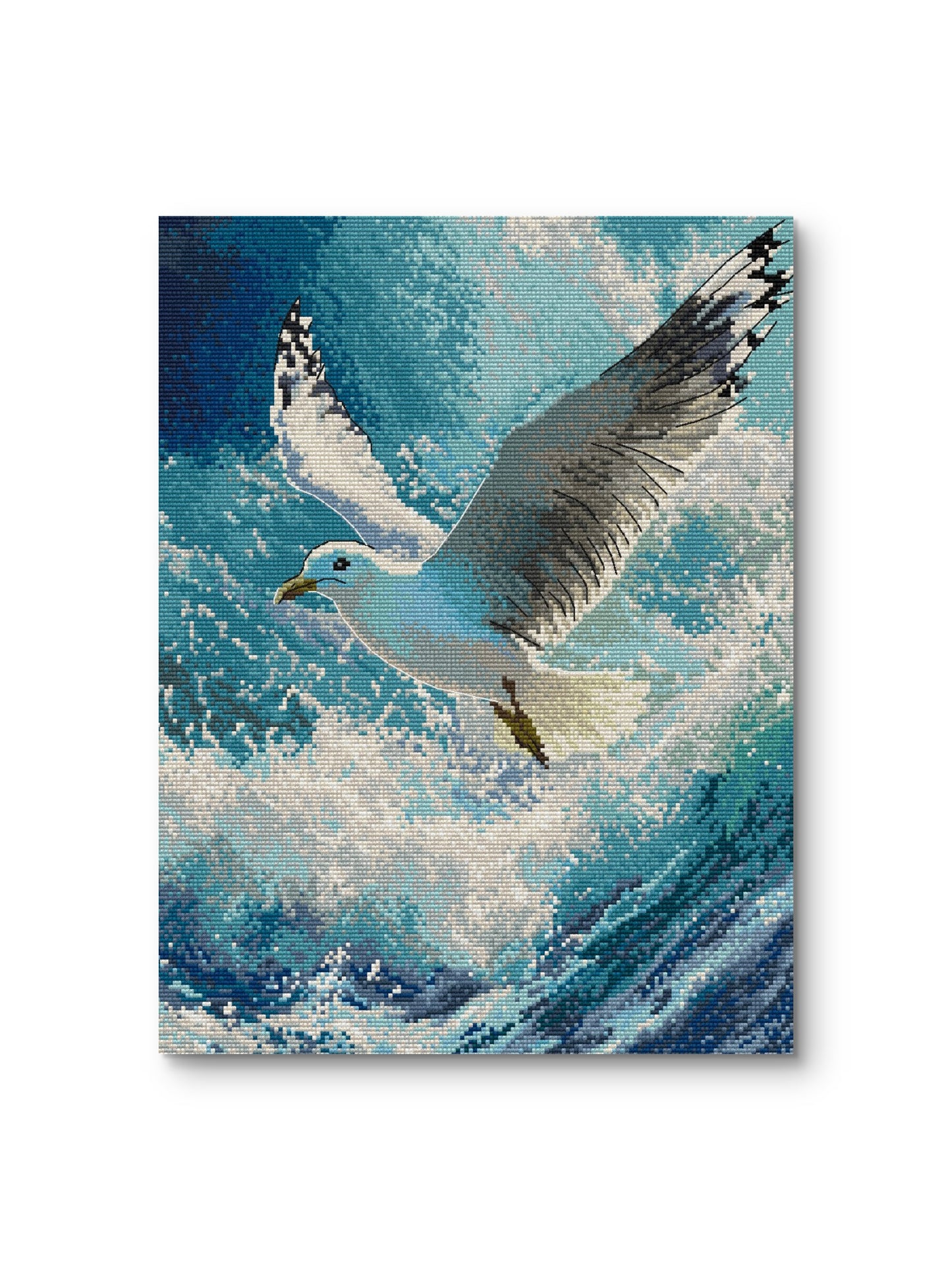 Seagull