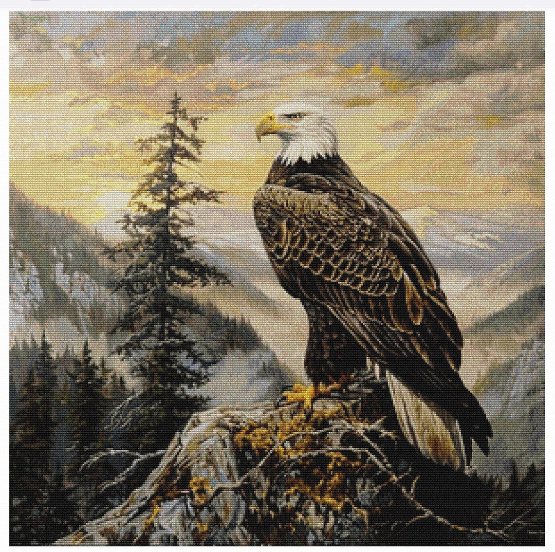 Eagle