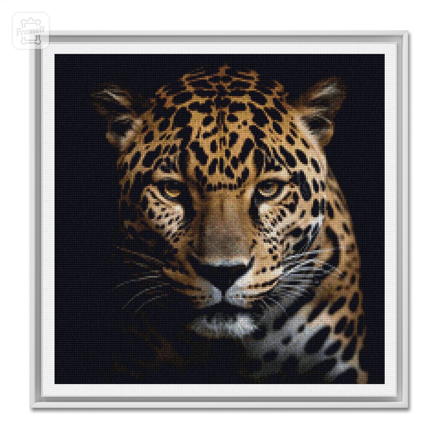 Wild Jaguar