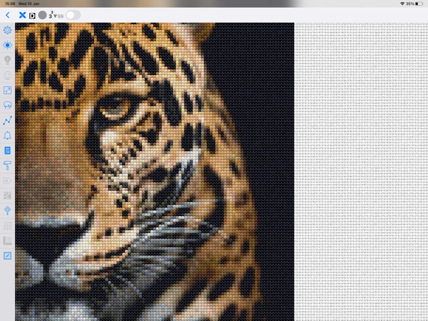 Wild Jaguar