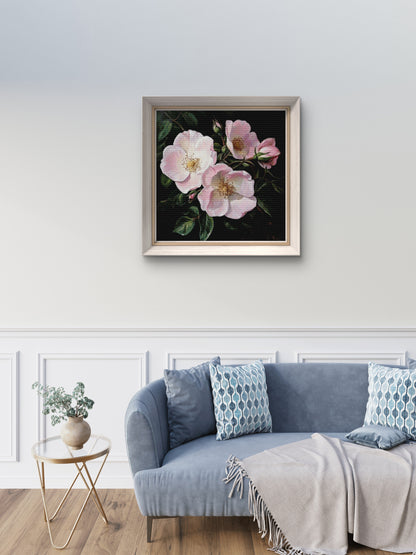 Wild Roses