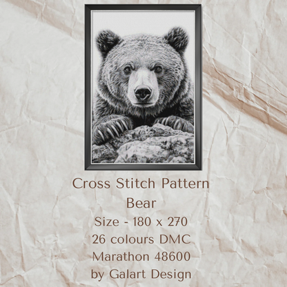 Black and white bear