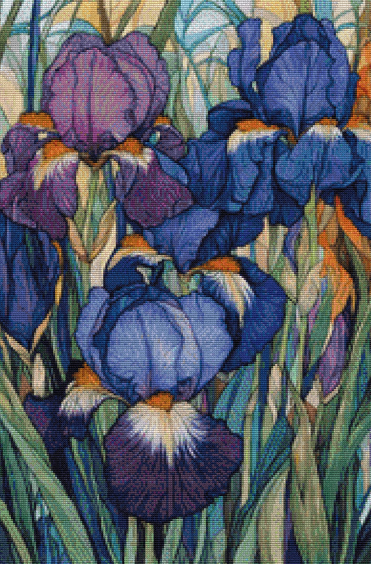 Irises Flowers