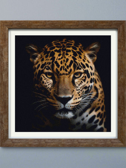 Wild Jaguar